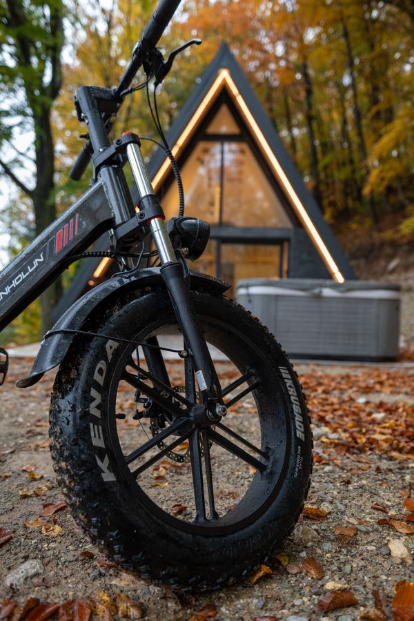 Continental Cabin and the autumn forest around it