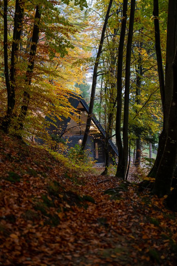 Continental Cabin and the autumn forest around it